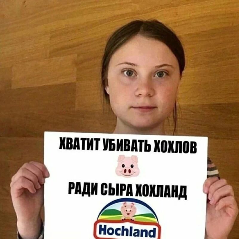 ХВАТИТ УБИВАТЬ котов РАДИ вый ЮХШ