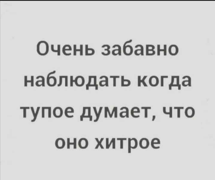 Очень забавно наблюдать когда тупое думает что оно хитрое