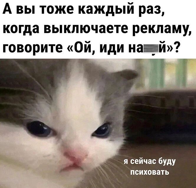 А вы тоже каждый раз когда выкпючаете рекламу говорите Ой иди на _й с я сейчас буду психовать
