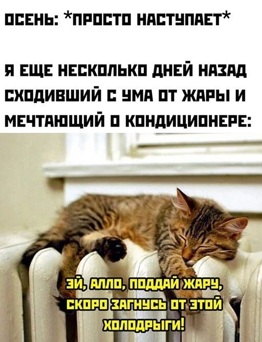 ПЕЕНЬ ПРППТП НАСТНПЯЕТ я ЕЩЕ нвпкппькп днвй ндздд пхпдивший нмд пт жиры и мечтпшщий п кпндиципннин ___