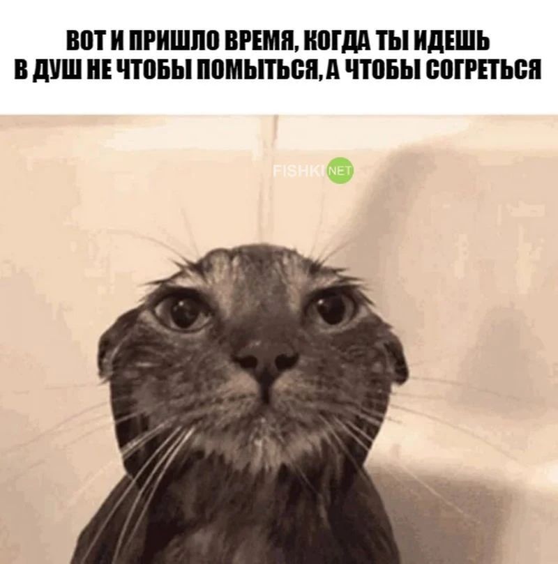 ВПТ И ШИШПШ ВРЕМЯ КШМ ТЫ ИПШЬ ШШ чтпвы ММЬПЪВДП ЧТБ ВШШЫЁЯ