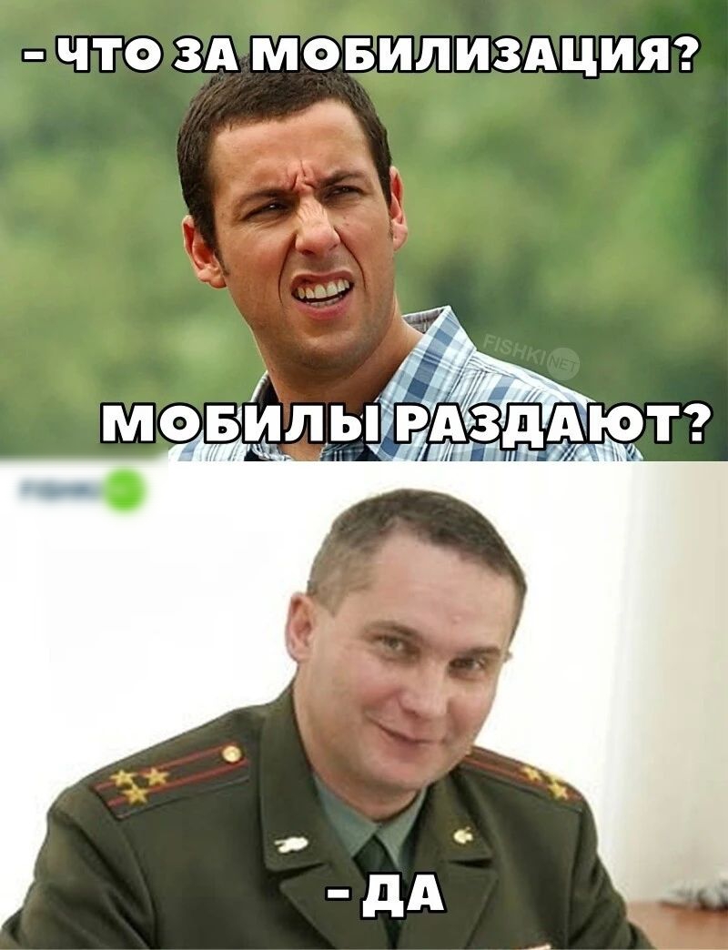 ЧТО ЗА МОБИЛИЗАЦИЯ