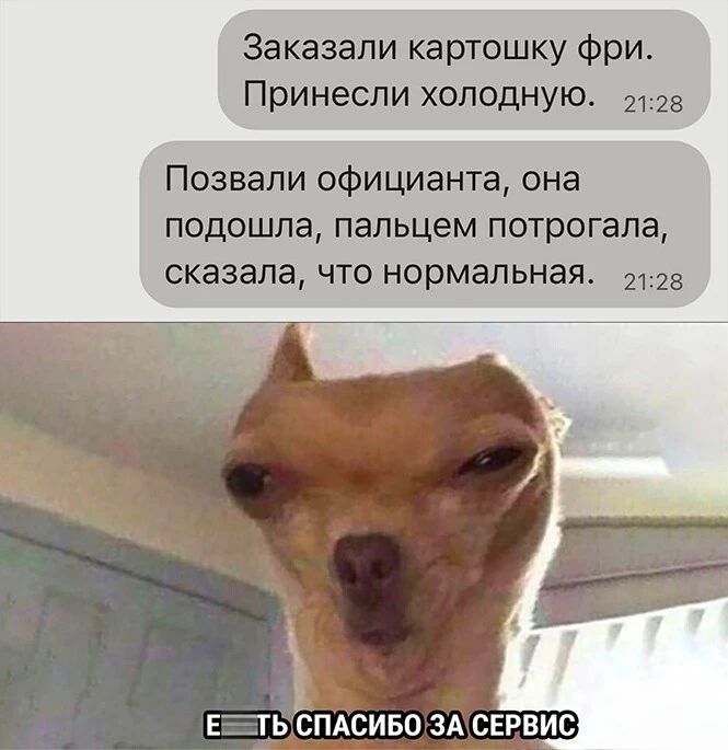 Заказали картошку фри Принесли холодную 8 Позвали официанта она подошла пальцем потрогала сказала что нормальная