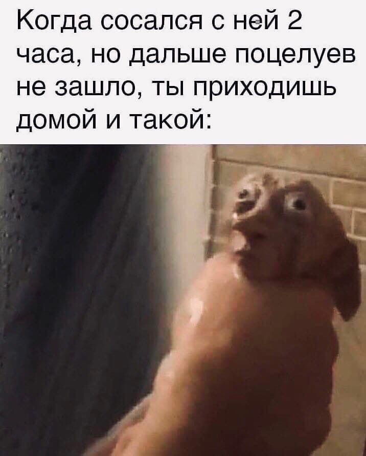 Когда сосапся с ней 2 часа но дальше поцелуев не зашло ты приходишь домой и такой