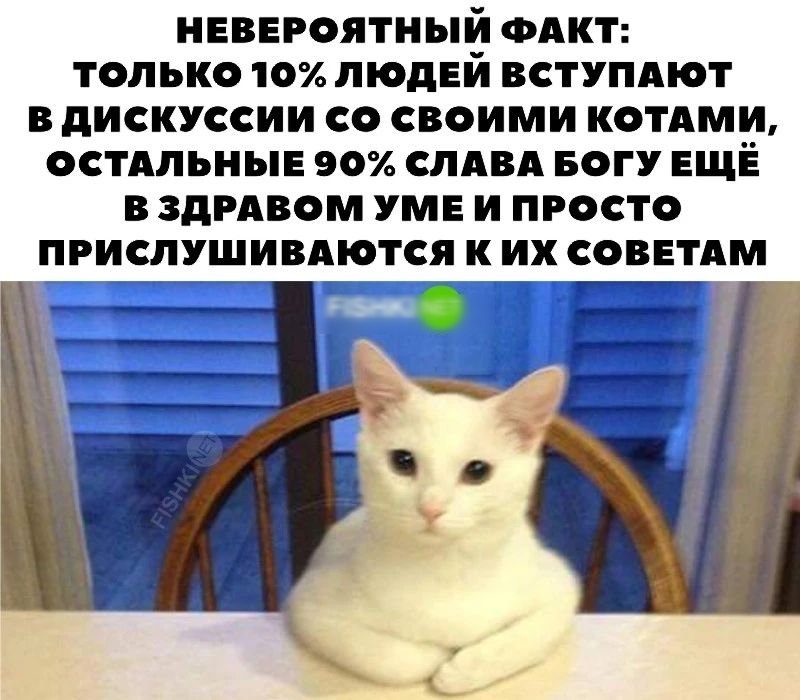 НЕВЕРОЯТНЫИ ФАКТ ТОЛЬКО 10 ЛЮДЕЙ ВСТУПАОТ В дИСКУССИИ СО СВОИМИ КОТАМИ ОСТАЛЬНЫЕ 90 СЛАВА БОГУ ЕЩЁ В ЗДРАВОМ УМЕ И ПРОСТО ПРИСЛУШИВАЮТСЯ ИХ СОВЕТАМ