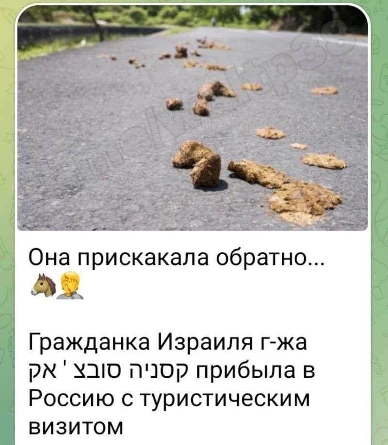Она прискакала обратно О Гражданка Израиля г жа рк ХЭЮ пюр прибыла в Россию с туристическим визитом
