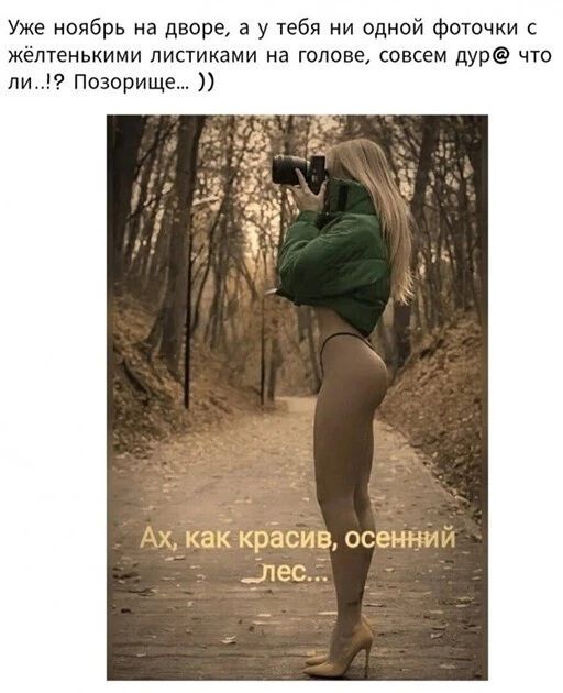 Уже ноябрь на дворе а у тебя ни одной фоючки жёлтенькими листиками на голове совсем дур что ли позорище