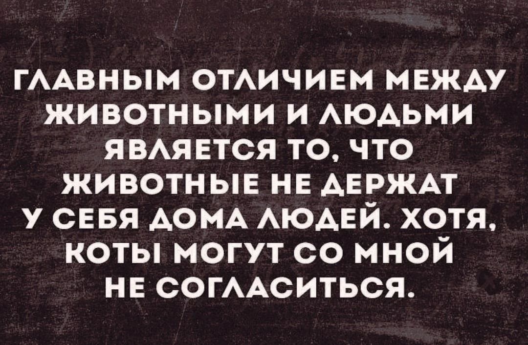 ГААВНЫМ ОТАИЧИЕМ между животными и АЮАЬМИ явмпвтся то что животные не АЕРЖАТ у севя АОМА АЮАЕЙ хотя коты могут со мной нв согААситься