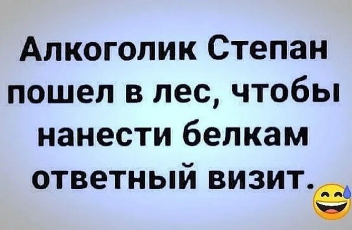 Алкоголик Степан пошел в лес чтобы нанести белкам ответный визит