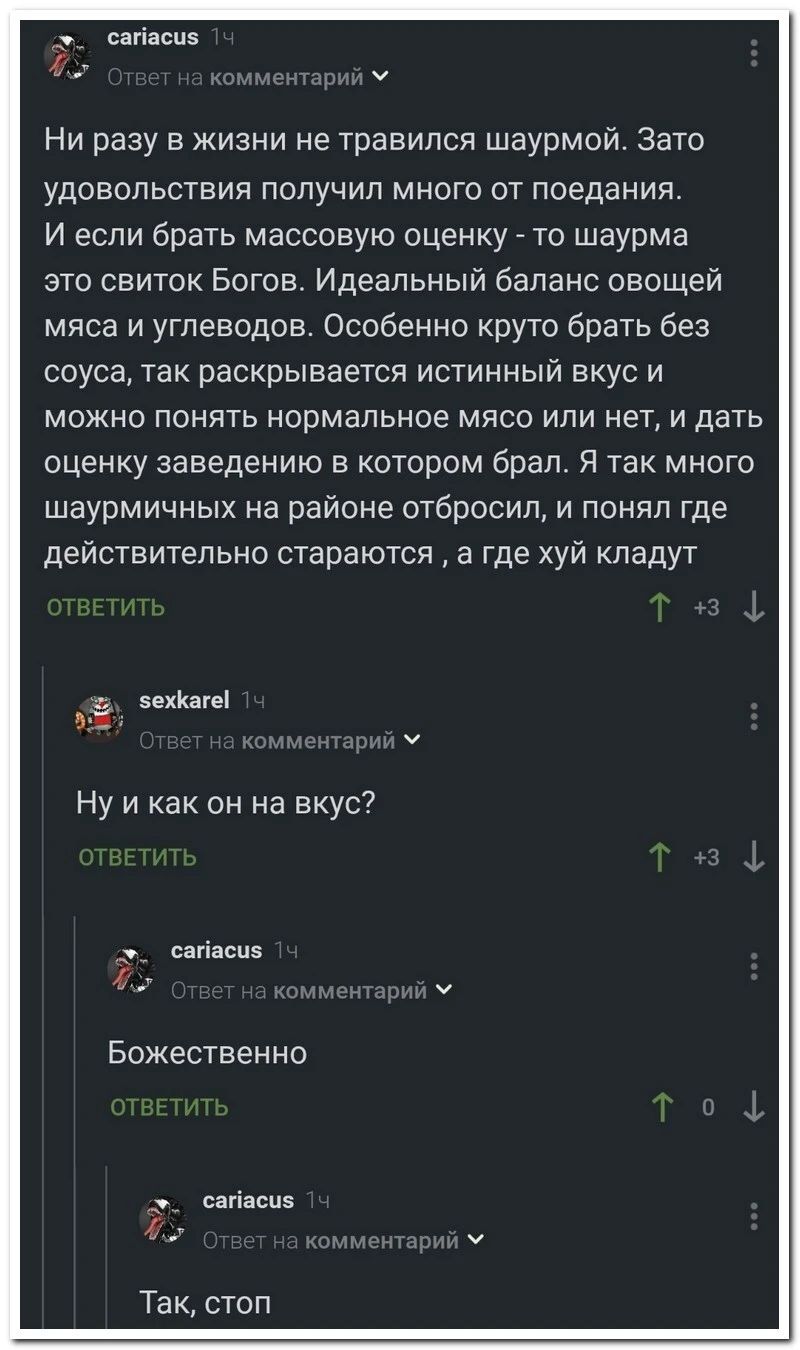 сагіаспз _ НИ разу в жизни не травипся шаурмои Зато удовольствия получил много от поедания И если брать массовую оценку _ то шаурма это свиток Богов Идеальный баланс овощей мяса и углеводов Особенно руто брать без соуса так раскрывается истинный вкус и можно понять нормальное мясо или нет и дать оценку заведению в котором брал Я так много шаурмичных на районе отбросил и понял где действительно ста