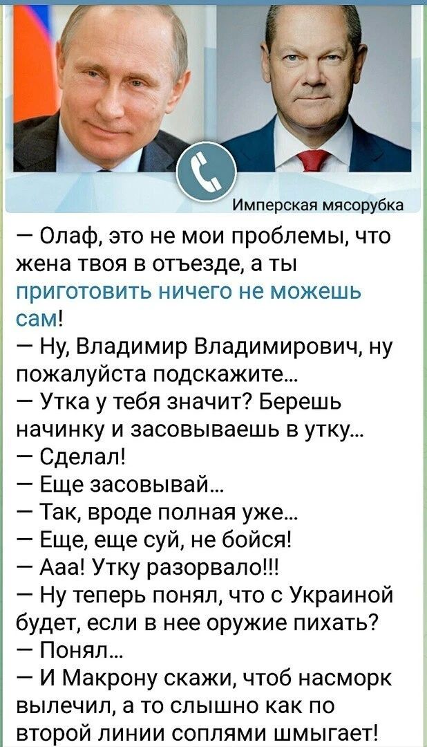 Имперская мясорубка Олаф это не мои проблемы что жена твоя 3 отьезде а ты приготовить ничего не можешь сам Ну Владимир Владимирович ну пожалуйста подскажите Утка у тебя значит Берешь начинку и засовываешь в утку Сделал Еще засовывай Так вроде полная уже Еще еще суй не бойся Ааа Утку разорвало Ну теперь понял что с Украиной будет если в нее оружие пихать Понял И Макрону скажи чтоб насморк вылечил а