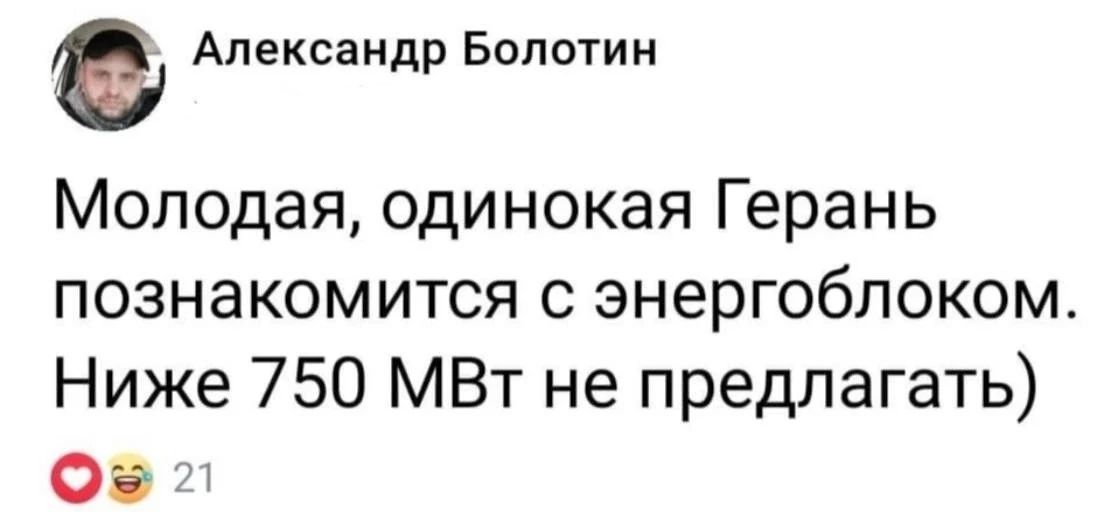 Александр Болотин Молодая одинокая Герань познакомится с энергоблоком Ниже 750 МВт не предлагать Оэ