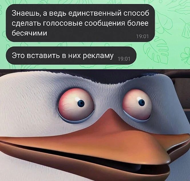Знаешь а ведь единственный способ сделать голосовые сообщения более бесячими Это вставить в них рекламу