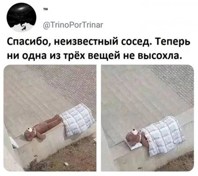 ТгіпоРогТгіпаг Спасибо неизвестный сосед Теперь ни одна из трёх вещей не высохла