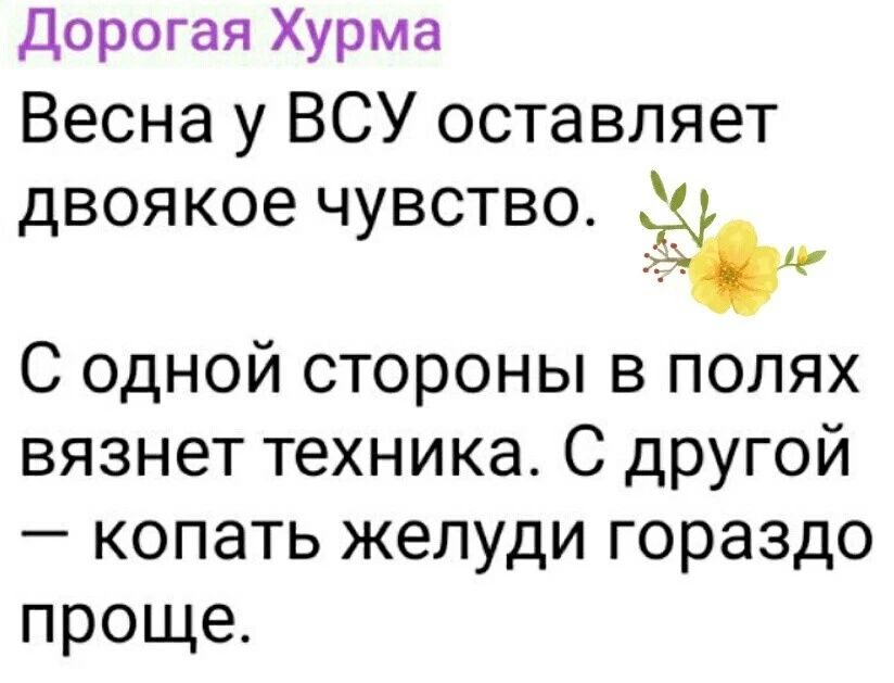 Дорогая Хурма Весна у ВСУ оставляет двоякое чувство іі 4 С одной стороны в полях вязнет техника С другой копать желуди гораздо проще