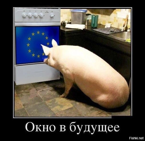 Окно в будущее тм
