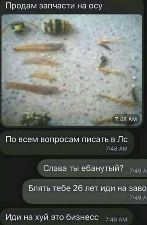 Продам запчасти на ОСУ По всем вопросам писать в По 748 АМ Слава ты ебанутый 749 Бпять тебе 26 лет иди на заво 749 А Иди на хуй это бизнесс 7 49