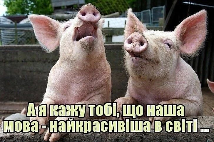 ін ш 1061 наша мы аи ипасиышав ВМПЁ