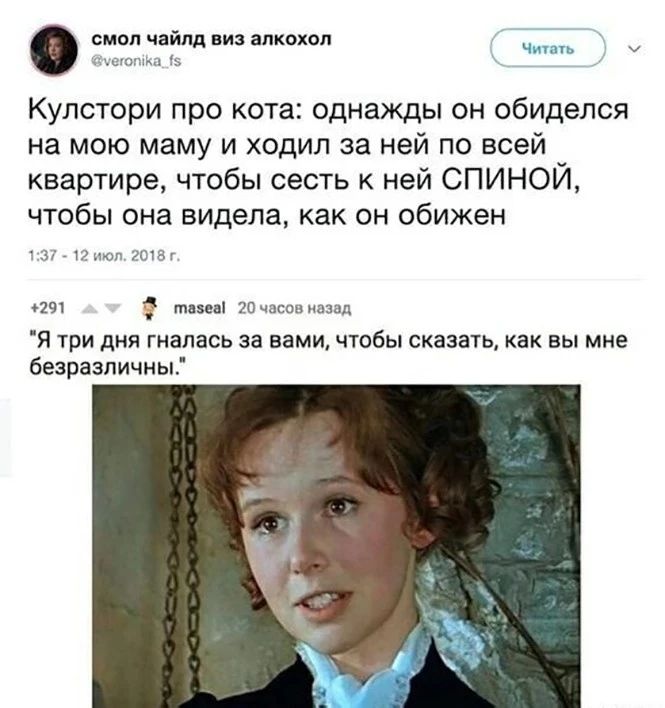 смвлч ймвизипкохол Кулстори про кота однажды он обиделся на мою маму и ходил за ней по всей квартире чтобы сесть к ней СПИНОЙ чтобы она видела как он обижен 9 я три дня гналась за вами чтобы сказать вы мне безразличны
