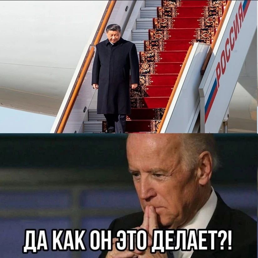 _1 1 дд кдк онддъцбёдщнт
