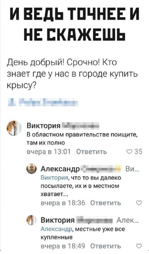 И ВЕДЬ ТПЧНЕЕ И НЕ ЕКПЖЕШЬ День добрый Срочно Кто знает где у нас в городе купить крысу _ Виктория ні _ В областном правительстве поищите там их полно вчера в 13 01 Ответить Александр Ви Виктория что то вы далеко посылаете ИХ И В местном ХВЗТЗЕУ Вчвра в 36 Ответить 0 Виктория тин Алек Александр МЕСТИЫЕ уже ВСЕ КУПЛЕИИЫЕ вчера 818 49 Ответить