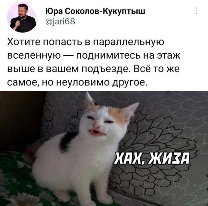Юра СоколовКукуптыш шіапбЗ ХОТИТЕ ПОПЭСТЬ Б ПЭРЗЛЛеЛЬНуЮ вселенную поднимитесь на этаж выше в вашем подъезде Всё то же самое но неуловимо другое КдК ЖИХД