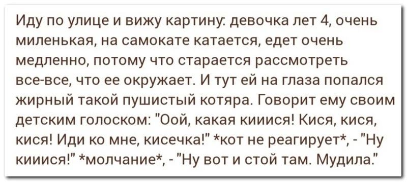 Иду по улице и вижу картину девочка лет 4 очень миленькая на самокате катается едет очень медленно потому что старается рассмотреть всевсе что ее окружает и тут ей на глаза попался жирный такой пушистый котяра говорит ему своим детским голоском Опй какая кииися Киев кисп кися Иди ко мне кисечкакот не реагирует Ну кииися молчание _ Ну вот и стой там Мудила