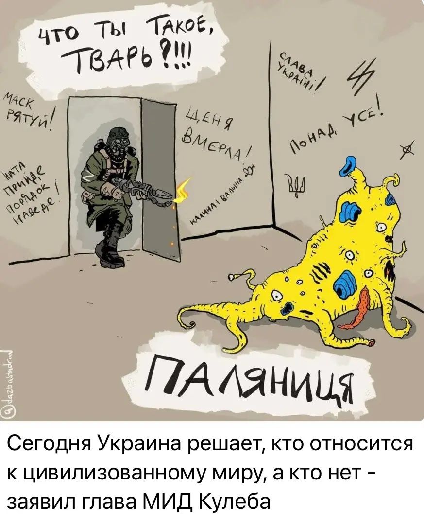 Сегодня Украина решает кто относится к цивилизованному миру а кто нет заявил глава МИД Купеба