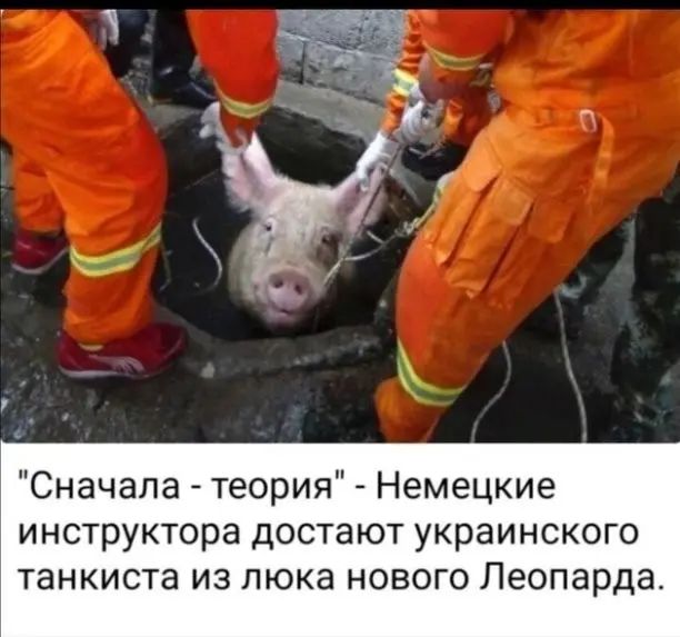 Сначала теория Немецкие инструктора достают украинского танкиста из люка нового Леопарда
