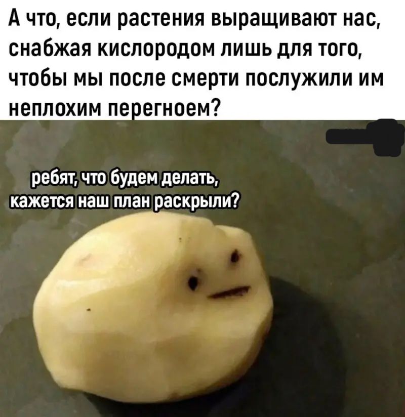 А ЧТО ЕСЛИ растения ВЫРЗЩИВЗЮТ нас снабжая КИСЛОРОДОМ ЛИШЬ дЛЯ ТОГО ЧТОБЫ МЫ после СМЕРТИ ППСПУЖИПИ ИМ неплохим пе егноем ребят что будем делать кажется наш план раскрыли