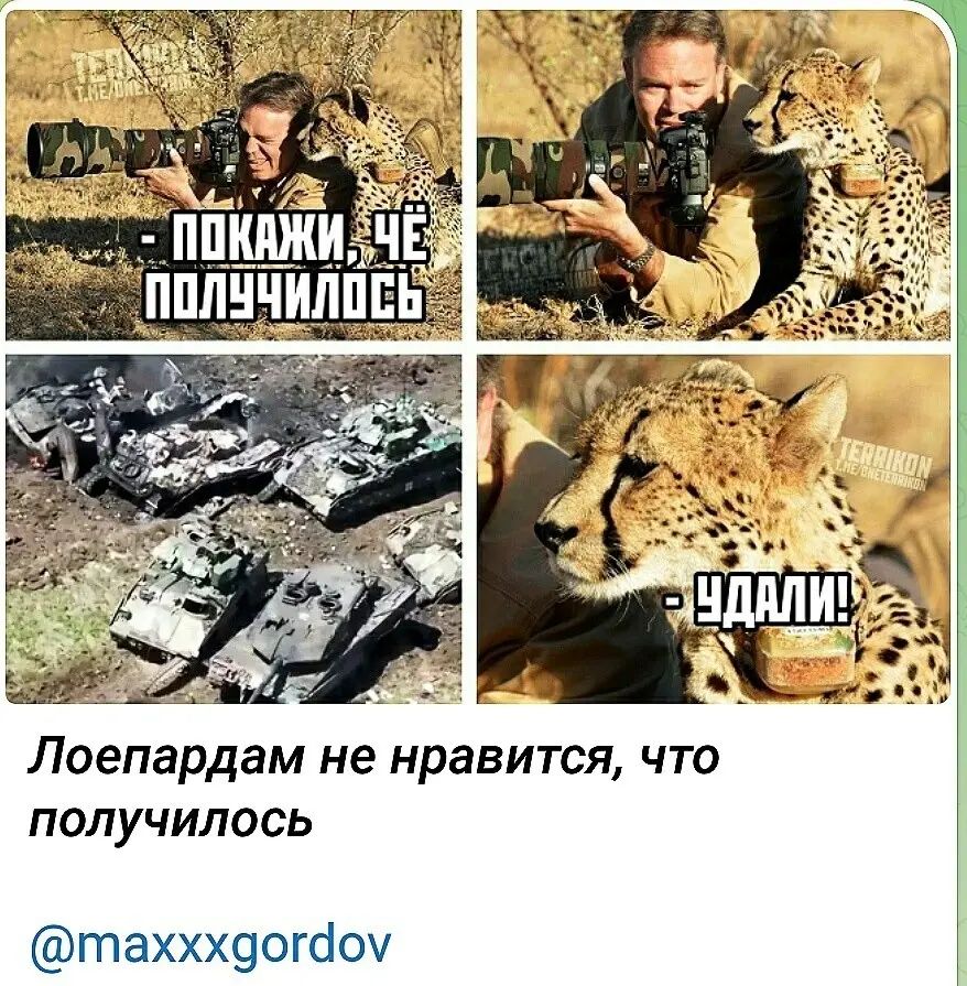 Лоепардам не нравится что получилось таххх9огсіоч