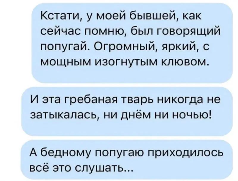 Кстати у моей бывшей как сейчас помню был говорящий попугай Огромный яркий мощным изогнутым клювом И эта гребаная тварь никогда не затыканась ни днём ни ночью А бедному попугаю приходилось всё это слушать