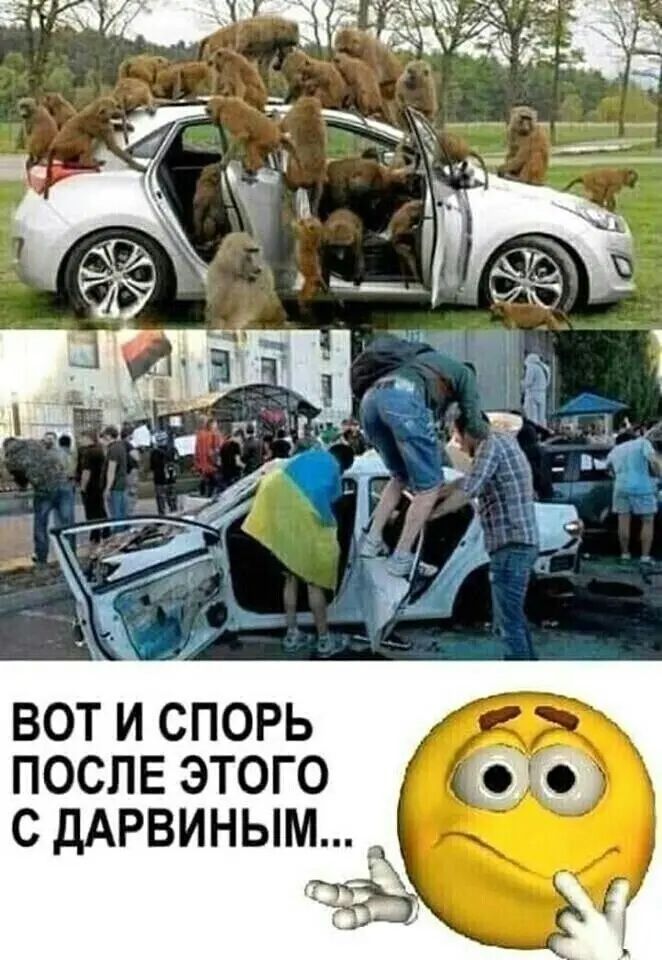 ВОТ И СПОРЬ ПОСЛЕ ЭТОГО С ДАРВИНЫМ