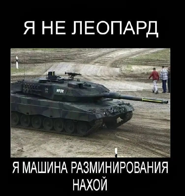 Я НЕ ЛЕОПАРД Я МАШИНА РАЗМЦНИРОВАНИЯ НАХОИ