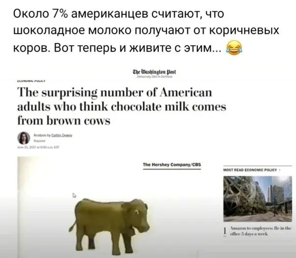 Около 7 американцев считаЮТ что ШОКОЛЭДНОЭ МОЛОКО ПОЛУЧЭЮТ ОТ КОРИЧНЕЕЫХ коров Вот теперь и живите с этим _ Пп чігр пдпишЬо п шіпіі Уш спш тіП шин йош или