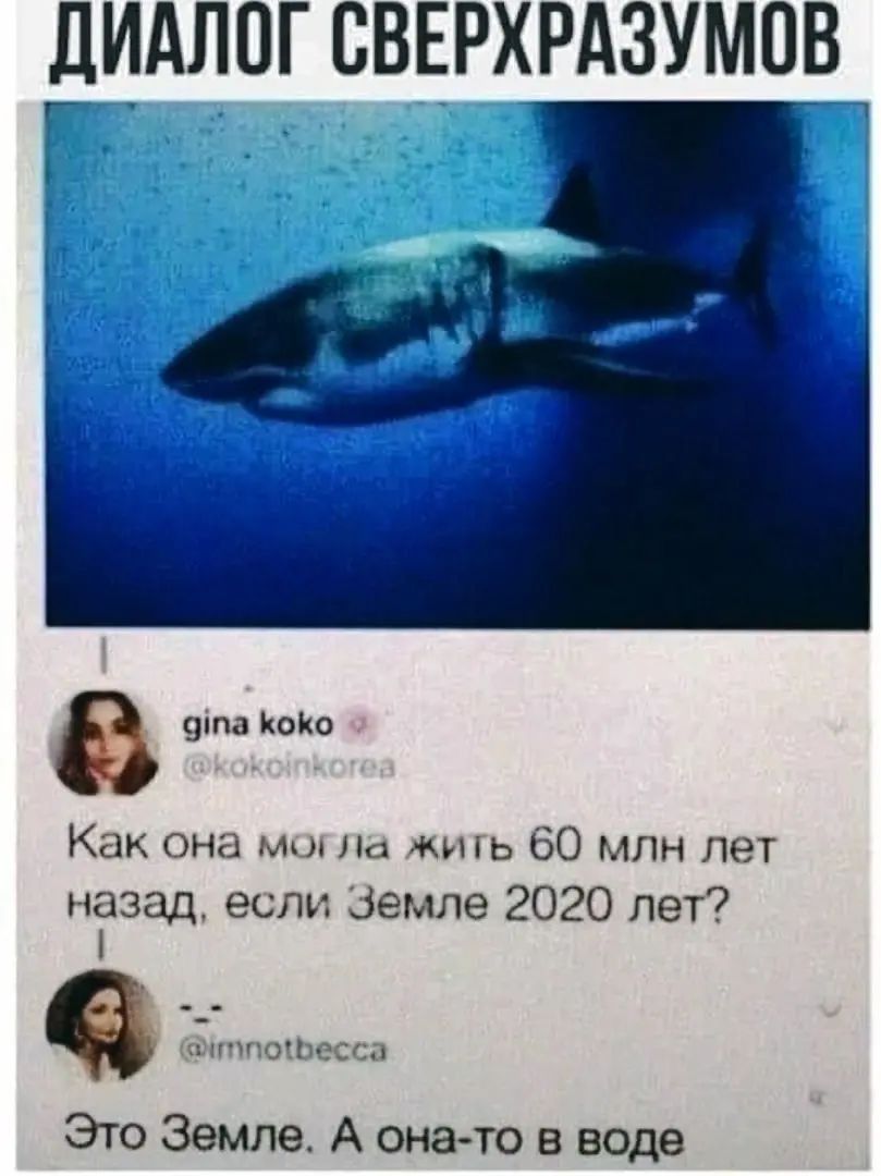ЛИАЛОГ СВЕРХРАЗУМПВ ута кино Как она мы На жигь 60 млн лет нідзад если земле 2020 лет Это Земле А она то в воде