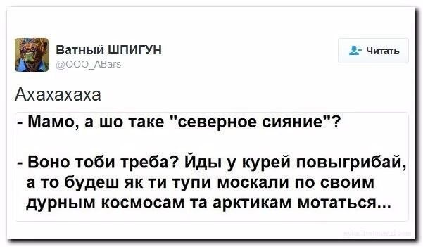 ватный шпигун Ахахахаха Мама а шо таке северное сияии Воно тоби треба Йды у курей повыгрибай а то будеш як ти тупи москали по своим дурным космосам та арктикам мотаться