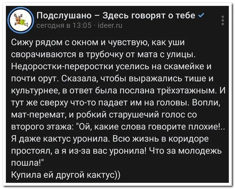 Подслушвно Здесь говорят в тебе Сижу рядом с окном и чувствую как уши сворачиваются в трубочку от мата с улицы Недоросткигпервростки уселись на скамейке и почти орут Сказала чтобы выражались тише и культурнае в ответ была послана трехзтажным И тут же сверху чтото падает им на головы Вопли магпервмат и робкий старушечий голос со второго этажа ой какие слова говорите ппохие я даже кактус уронила Всю