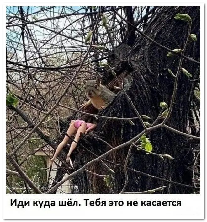 Иди куда шёл Тебя это не касается