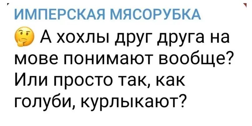 ИМПЕРСКАЯ МЯСОРУБКА О А хохлы друг друга на мове понимают вообще Или просто так как голуби курпыкают