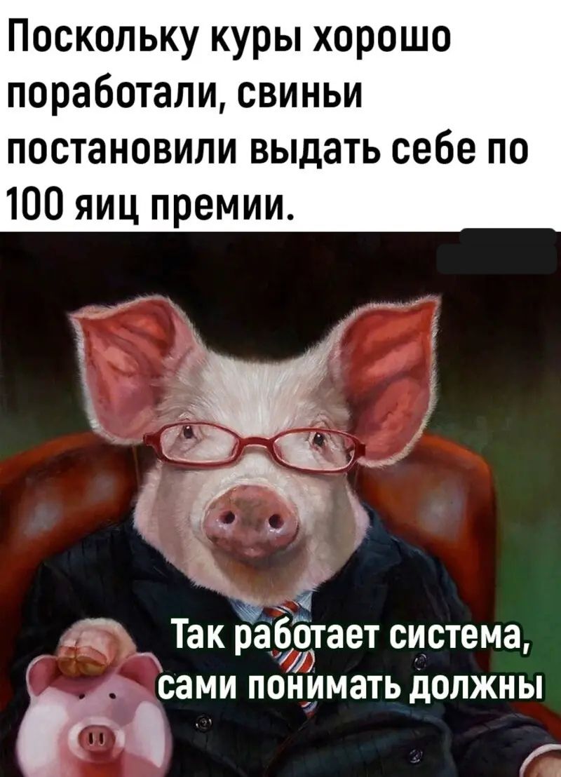 Поскольку куры хорошо поработали свиньи постановили выдать себе по 100 яиц премии 5 Так работает система сами понимать должны г