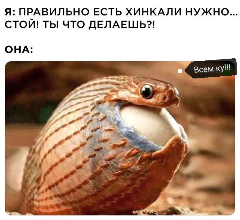Я ПРАВИЛЬНО ЕСТЬ ХИНКАЛИ НУЖНО СТОЙ ТЫ ЧТО ДЕЛАЕШЬ