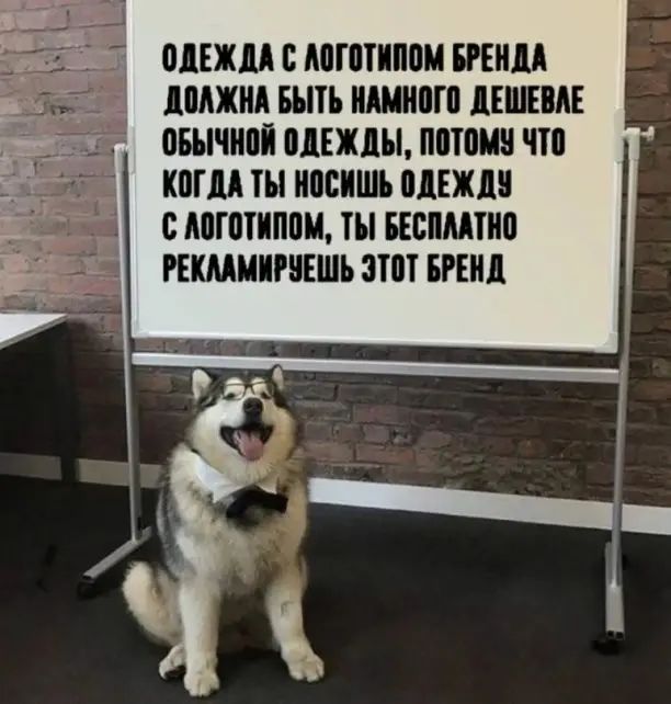 ОДЕЖДА С АШППШПМ БРЕИДА ДМЖИД БЪПЪ ИШИМ ДЕШЕВЛЕ ПБНЧИПЙ ДДЕШШ МЮИ Ші КШМ ТН ШШШ МШД С АПШТИППИ БЕШМПЮ РЕШИДШЕШЬ ЗПП БРЕНД