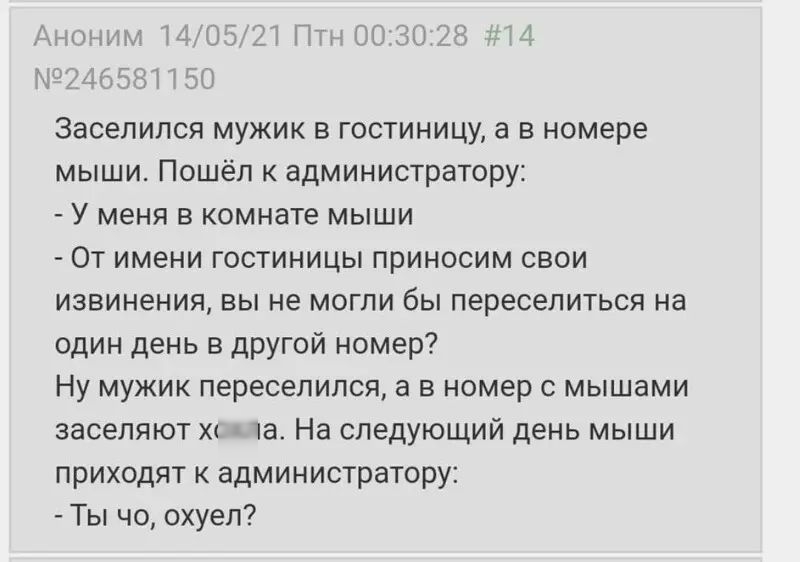 Засепипся мужик в гостиницу а в номере мыши Пошёл администратору У меня в кпмнате мыши От имени гостиницы приносим свои извинения вы не могли бы переселиться иа один день в другой номер ну мужик переселился а в номер с мышами заселяют та На следующий день мыши приходят к администратору Ты че охуеп