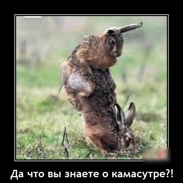 Да что вы знаете о камасутра