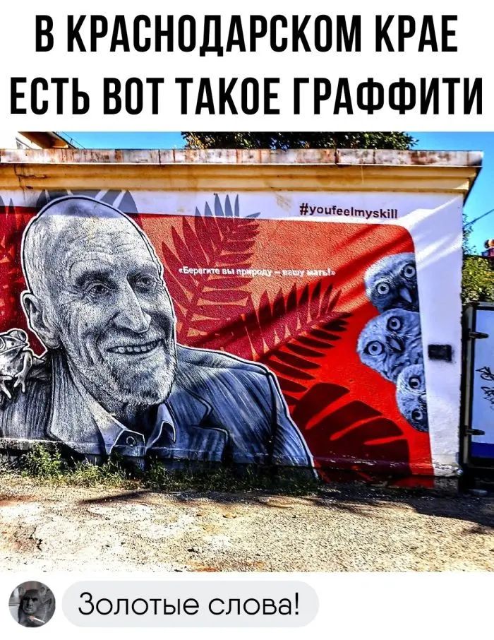 В КРАСНОДАРСКОМ КРАЕ ЕСТЬ ВОТ ТАКОЕ ГРАФФИТИ Золотые слова
