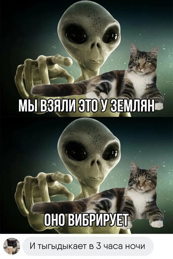 343 ггг Днпвивриттувт