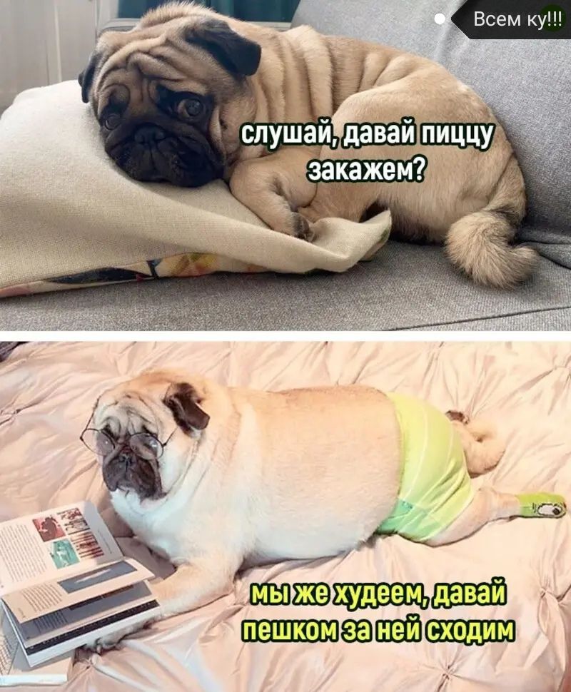Р Ш Йи
