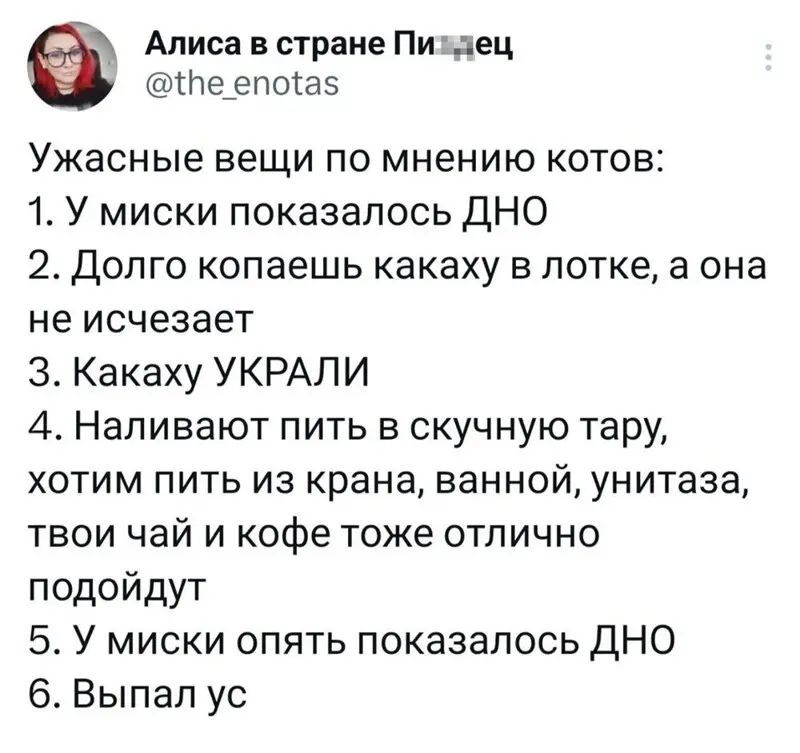 Алиса в стране Пиъдец Не_епогаэ Ужасные вещи по мнению котов 1 У миски показалось дНО 2 Долго копаешь какаху в лотке а она не исчезает 3 Какаху УКРАЛИ 4 Напивают пить в скучную тару хотим пить из крана ванной унитаза твои чай и кофе тоже отлично подойдут 5 У миски опять показалось дНО 6 Выпал ус