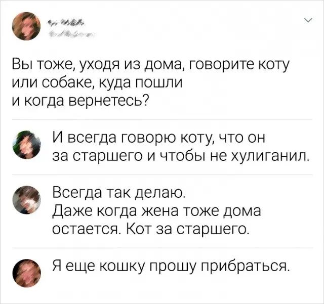 ВЫ ТОЖЕ уходя ИЗ дома говорите КОТУ или собаке куда пошли и когда вернетесь И ВСЕГДЭ ГОВОРЮ КОТУ ЧТО ОН за старшего И ЧТОБЫ не ХУЛИГЭНИП Всегда так делаю Даже когда жена тоже дома остается КОТ за старшего Я еще кошку прошу прибраться
